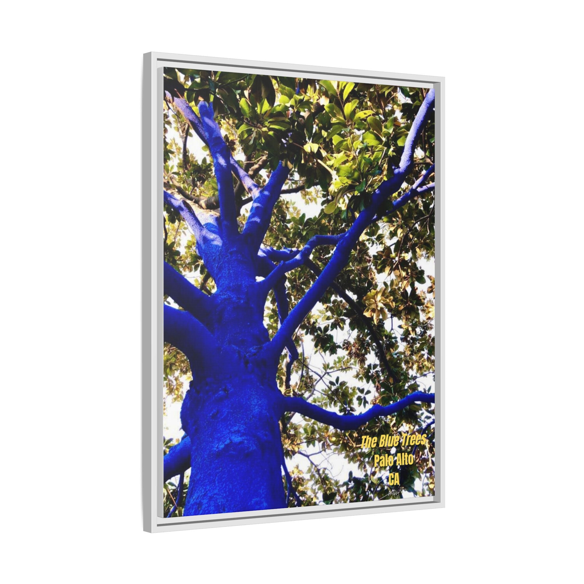 Canvas Print — Matte Framed Wall Art ("The Blue Trees, Palo Alto, CA")