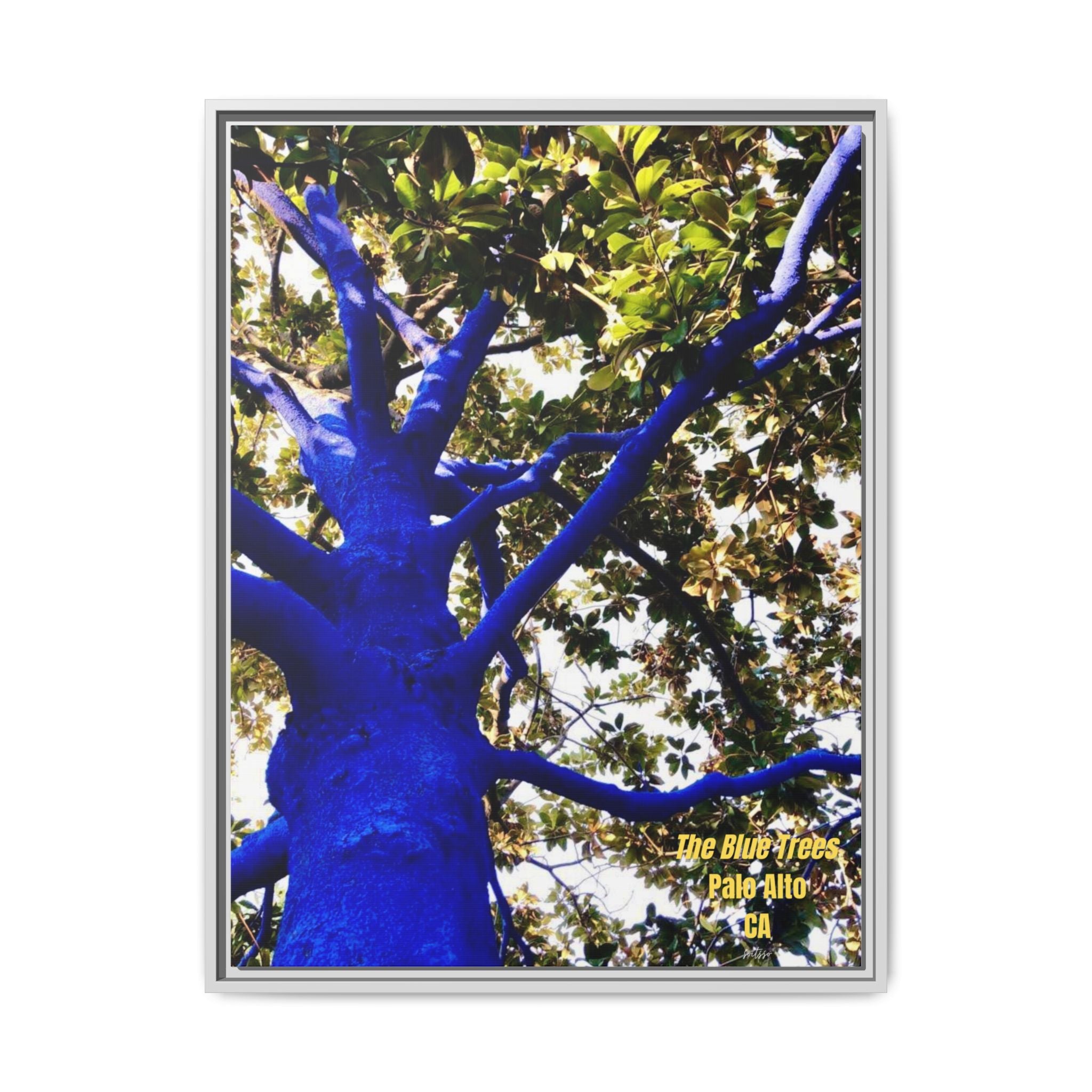 Canvas Print — Matte Framed Wall Art ("The Blue Trees, Palo Alto, CA")
