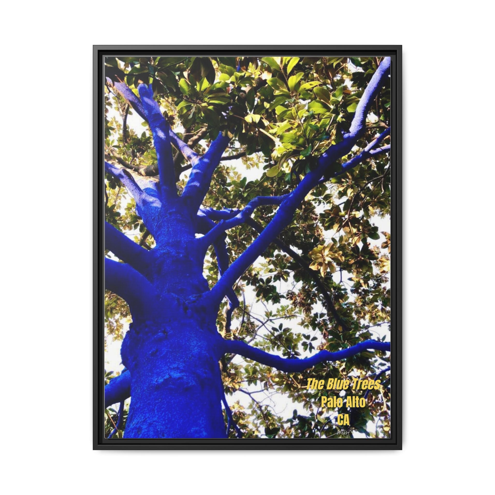 Canvas Print — Matte Framed Wall Art ("The Blue Trees, Palo Alto, CA")