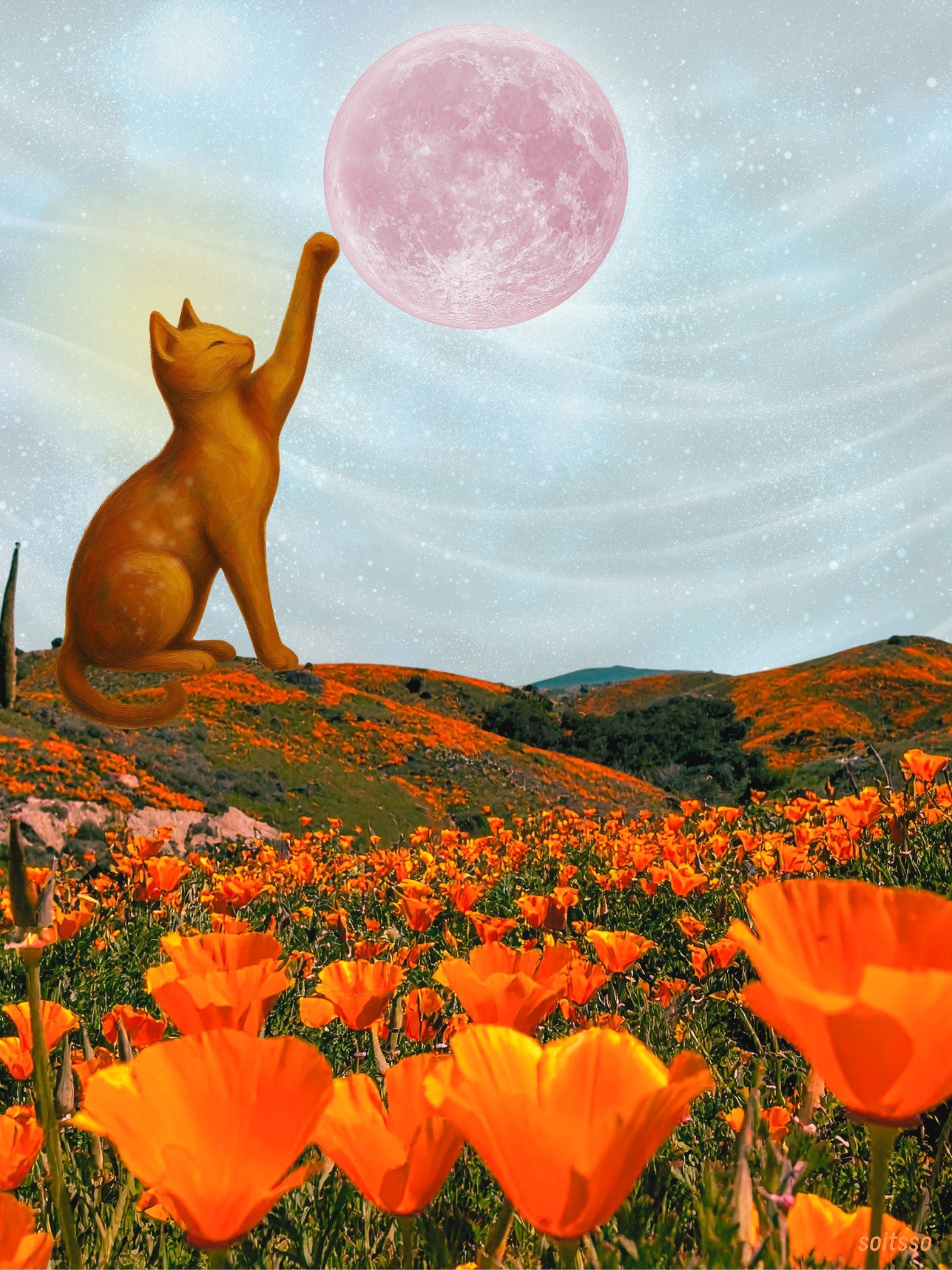 Golden cat reaching toward a pink moon over a vibrant orange California poppy field under a starry sky