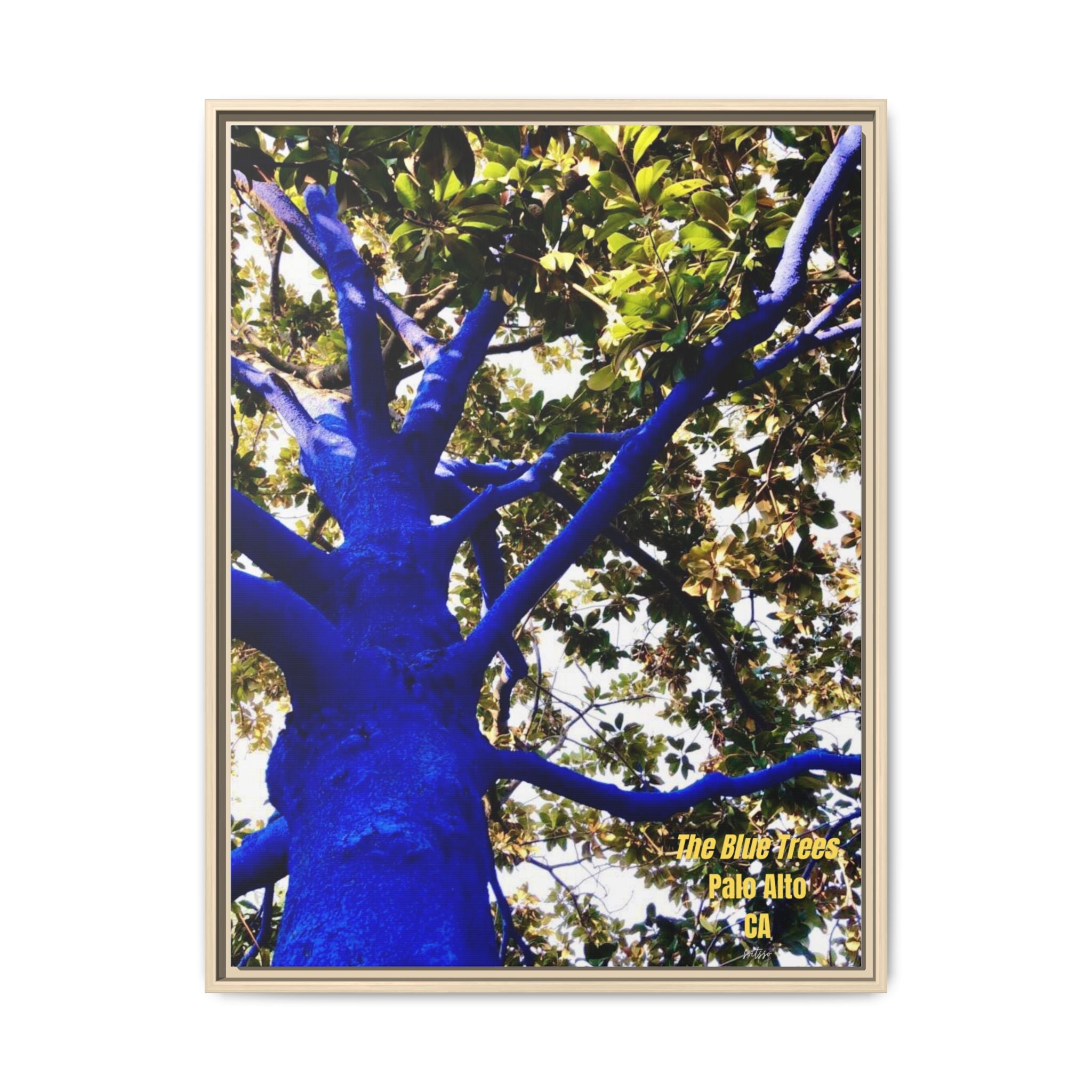 Canvas Print — Matte Framed Wall Art ("The Blue Trees, Palo Alto, CA")