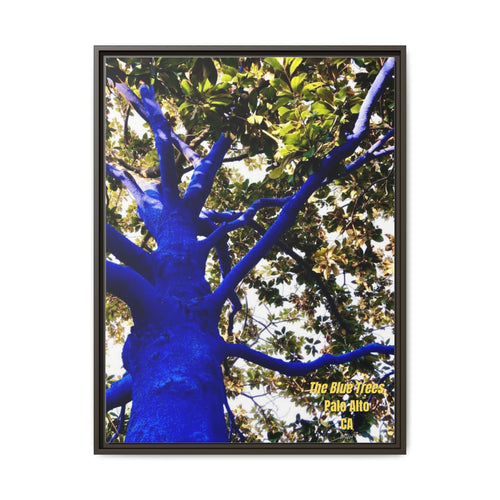 Canvas Print — Matte Framed Wall Art ("The Blue Trees, Palo Alto, CA")